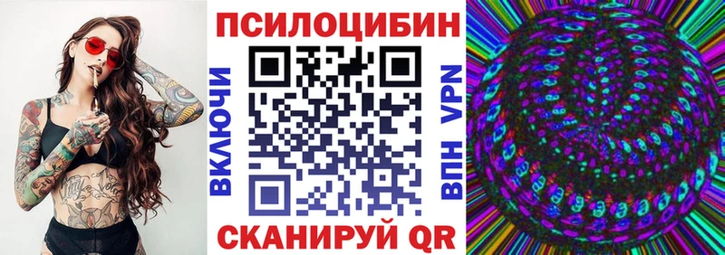 площадка состав  Волхов  Галлюциногенные грибы Psilocybe 