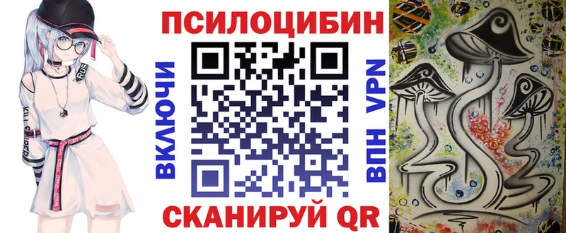 Галлюциногенные грибы Psilocybe Волхов