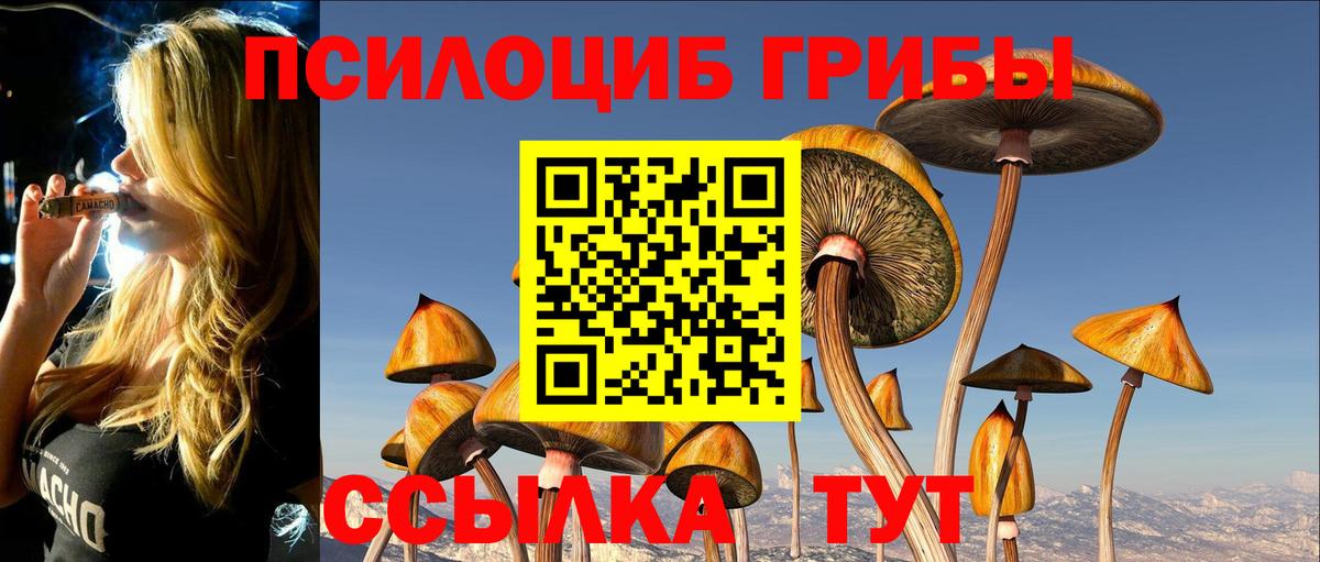 Псилоцибиновые грибы мицелий Волхов